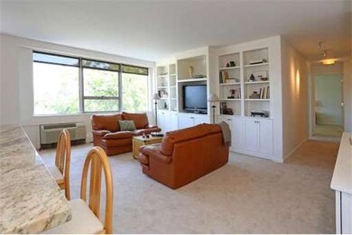 Hammond Park Condominiums unit 607, Chestnut Hill, MA 02467 - photo 7