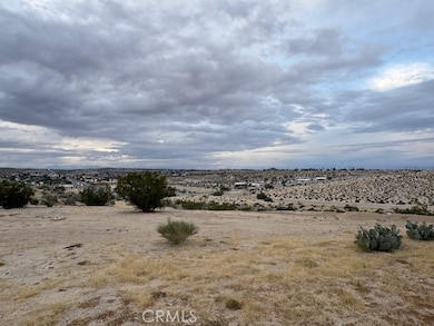 73081 29 Palms Hwy, Twentynine Palms, CA 92277 - photo 2