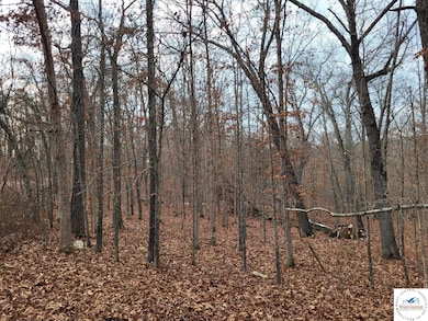 0 Dunn Dr unit Lot 1331, Edwards, MO 65326 - photo 2