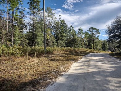 TBD SW 47th St, Ocala, FL 34481 - photo 3