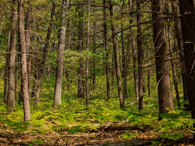 Parcel 2 E Koenig Rd, Free Soil, MI 49411 - photo 6