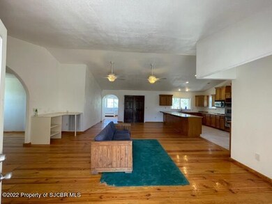 Living Room - Kitchen