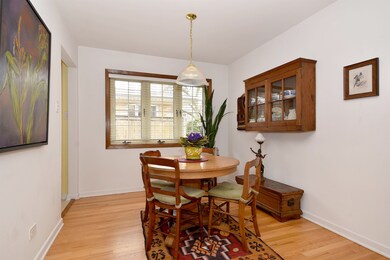 561 E Park Ave, Elmhurst, IL 60126 - photo 4