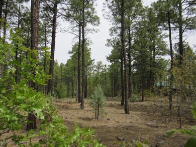 1701 S Bristle Cone Dr, Show Low, AZ 85901 - photo 4