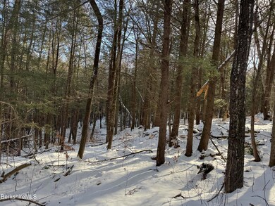 0 Tunnel Rd, Rowe, MA 01367 - photo 6