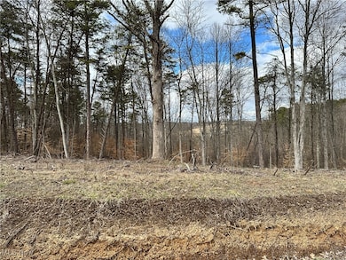 0 Fisher Ridge Rd Tract 2, Fleming, OH 45729 - photo 2