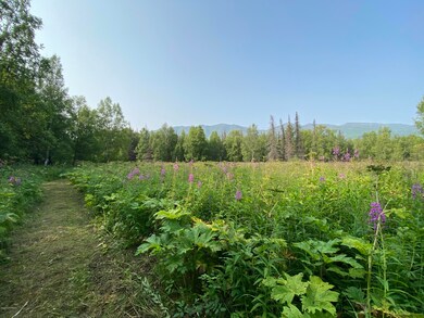 IMG-0507
