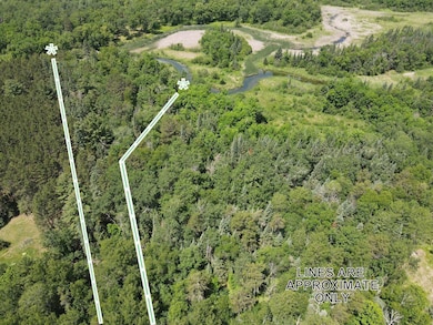 ABC Falling Leaf Trail, Todd Township, MN 56470 - photo 3