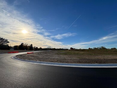 View of asphalt street with curbs and a view of rural / pastoral area