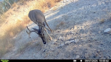 0 Cameron Ln, Fowlerton, TX 78021 - photo 5