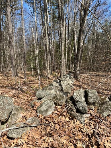 0 Gerrish Rd unit 43-4-3 4917218, Webster, NH 03303 - photo 7