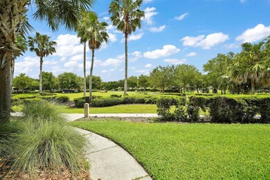 View From the Front Porch