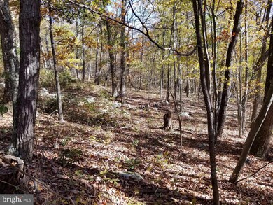 0 Roberts Ln unit 1004071929, Great Cacapon, WV 25422 - photo 7