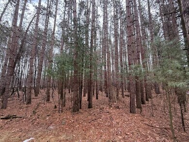 0 Lake St unit 50304618, Waupaca, WI 54981 - photo 3