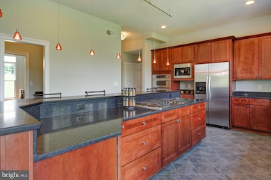 41008 Pacer Ln, Paeonian Springs, VA 20129 - photo 5