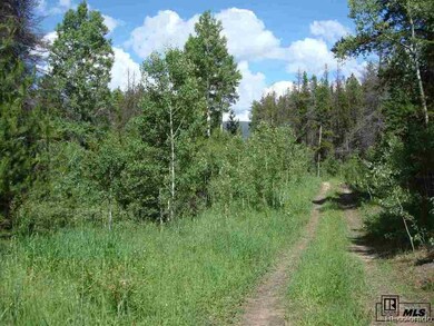 32615 Colt Trail, Oak Creek, CO 80467 - photo 5