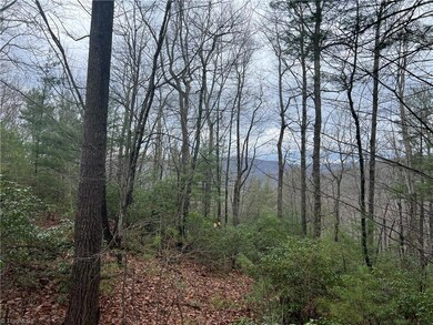 Lot 230 Deer Run, Purlear, NC 28665 - photo 2