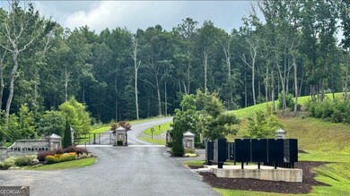 LOT 447 Woodward Way, Talking Rock, GA 30175 - photo 3