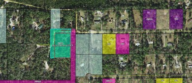 161 Royal Oaks Ct, Crawfordville, FL 32327 - photo 2