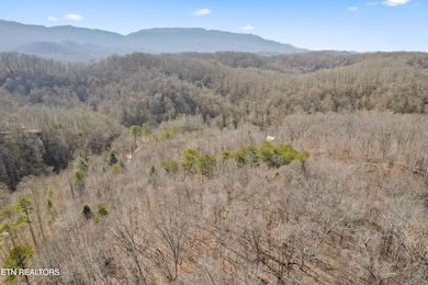 1582 Hawk Ln, Seymour, TN 37865 - photo 5