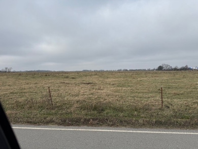 22844 Floyd Moore Rd, Gentry, AR 72734 - photo 7