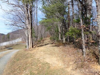 Walk through the woods on this rough in road and y
