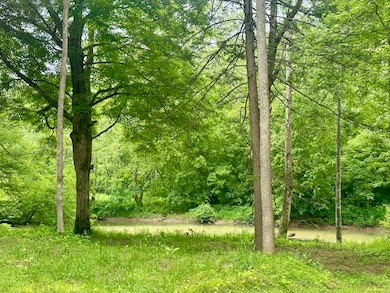 1807 Baldwin Rd unit Tract 7, Foxtown, KY 40447 - photo 3