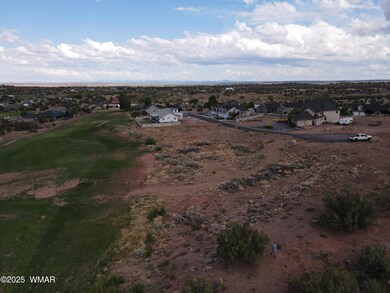 dji_fly_20250703_162046_719_175164585941