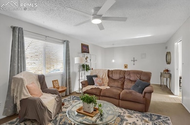 4748 Keith Cir, Colorado Springs, CO 80916 - photo 4