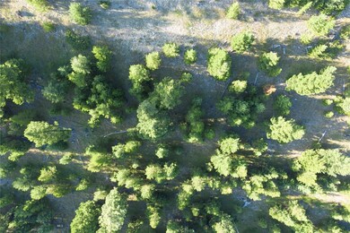 24 Old Toby Rd, Big Sky, MT 59716 - photo 5