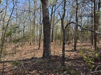 410 N Sequoia Dr, Horseshoe Bend, AR 72512 - photo 4