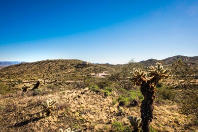 14242 E Coyote Lot 37