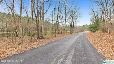 221 Brookdale Dr 221 Dr, Bartonsville, PA 18321 - photo 5