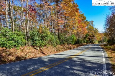 Lot 8 Little Laurel Rd, Boone, NC 28607 - photo 3