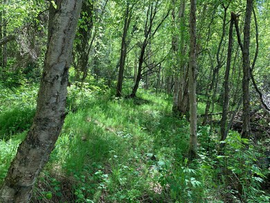 Well wooded
