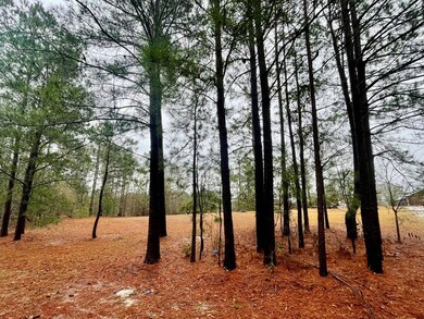 0 S Monroe St, Sylvester, GA 31791 - photo 7