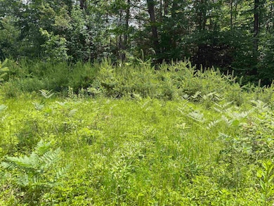 00 Simonsville Rd, Andover, VT 05143 - photo 7