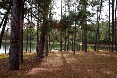 1120 Whitstone Rd, Lincolnton, GA 30817 - photo 4