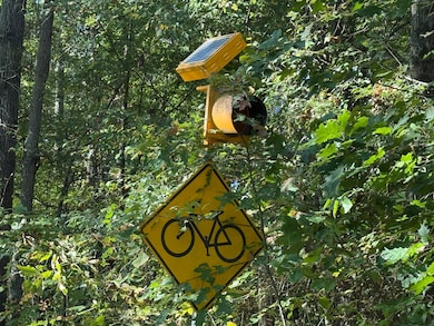 1955 Belgrade Rd, Brookport, IL 62910 - photo 2