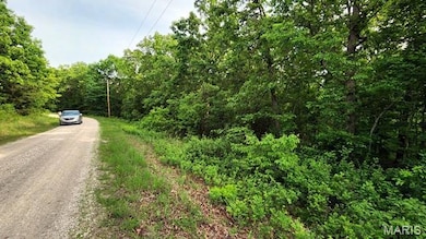 Lot 144 B-1 Robinson Dr, Edwards, MO 65326 - photo 2