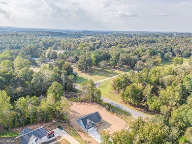 22 Earls Way, Chatsworth, GA 30705 - photo 7