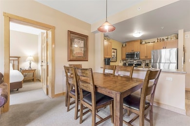 910 Copper Rd unit 219, Frisco, CO 80443 - photo 5