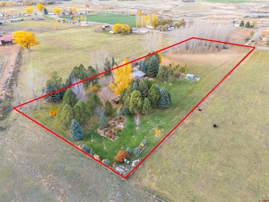 24620 Road N, Cortez, CO 81321 - photo 5