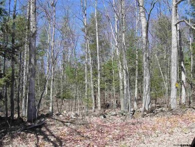 0 Gentile Rd unit 201820186, Stephentown, NY 12168 - photo 6