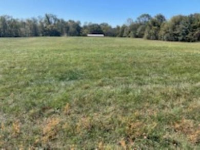 00 Cudd Dr, Chesnee, SC 29323 - photo 4