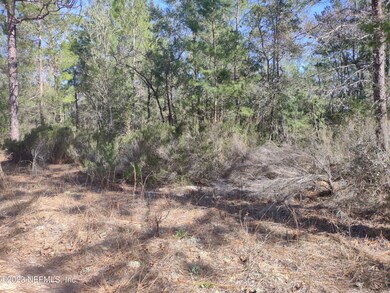 Lots facing Faye St 2