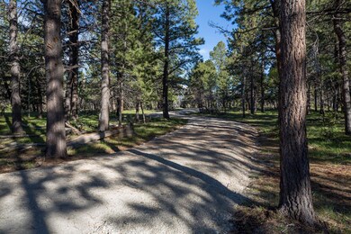 New Driveway to Homesite
