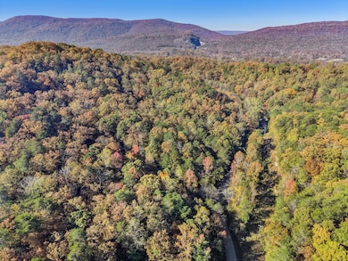 03-DJI_20251105103402_0763_D