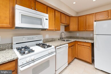 205 Victor Pkwy unit C, Annapolis, MD 21403 - photo 4