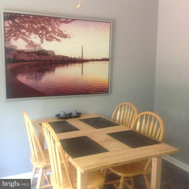 14352 Beaker Ct, Burtonsville, MD 20866 - photo 5